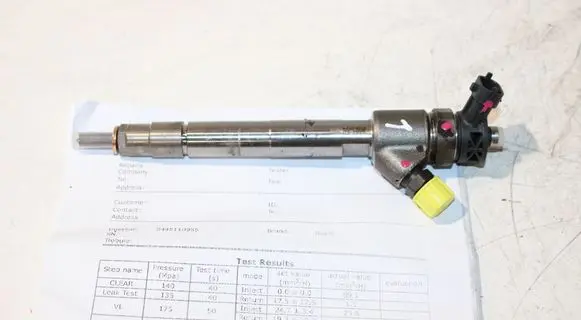 Peugeot Partner III Fuel injector 0445110955 9828959880