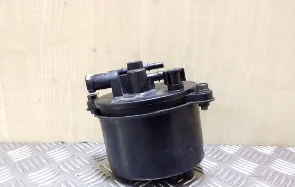 Peugeot 4007 Fuel filter WF8397
