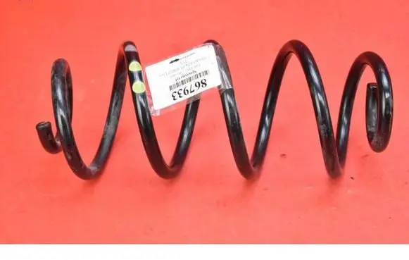 Rear coil spring