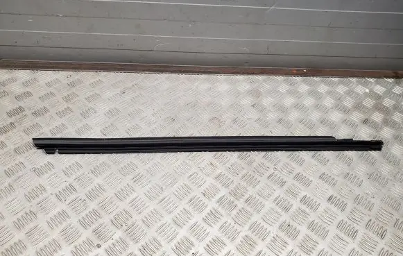 Lexus NX Front door rubber seal
