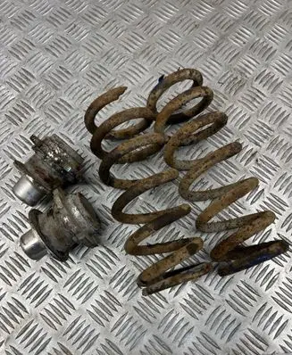Rear coil spring