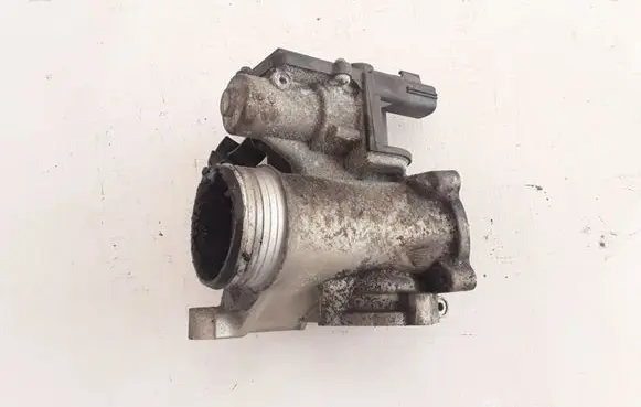 Volvo S80 EGR valve