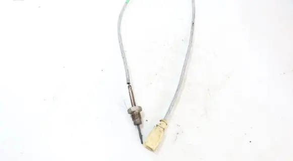 Exhaust gas temperature sensor