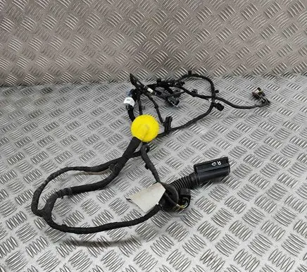 Front door wiring loom