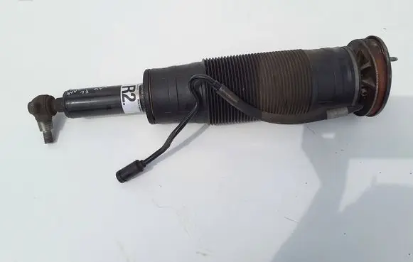 Mercedes-Benz S W221 Front shock absorber/damper A2213208413