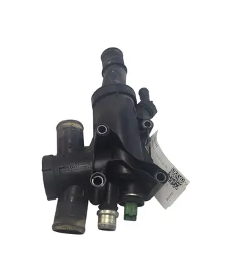 Thermostat/thermostat housing