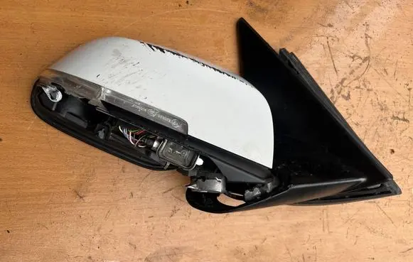 BMW X1 E84 Front door wing mirror part 7307156