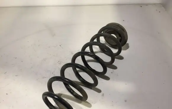 Skoda Octavia Mk2 (1Z) Rear coil spring