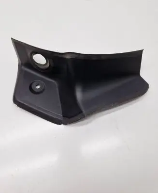 Rear/tail light trim molding
