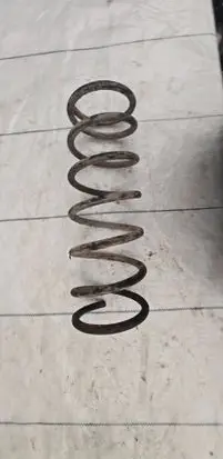 Rear coil spring
