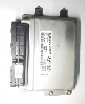 Hyundai Coupe Engine control unit/module 3910123890 5WY1A13A