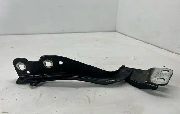 Ford Bronco Engine bonnet/hood hinges M1PB16800AA