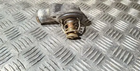 Thermostat/thermostat housing