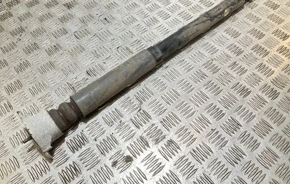 Rear shock absorber/damper