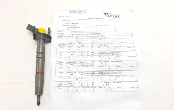 Mercedes-Benz Sprinter W906 Fuel injector 0445116028 A6420701287