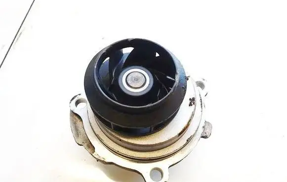 Volkswagen Golf V Water pump 06b121019d 06a121031c