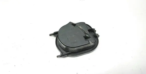 Headlight/headlamp dust cover