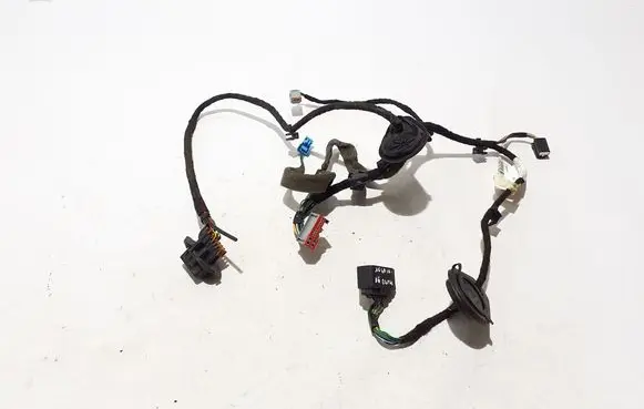 Other wiring loom