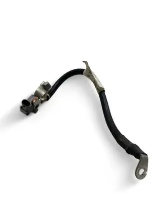 Negative earth cable (battery)
