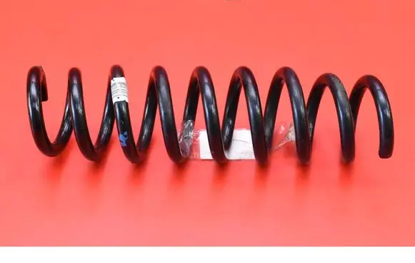 Rear coil spring