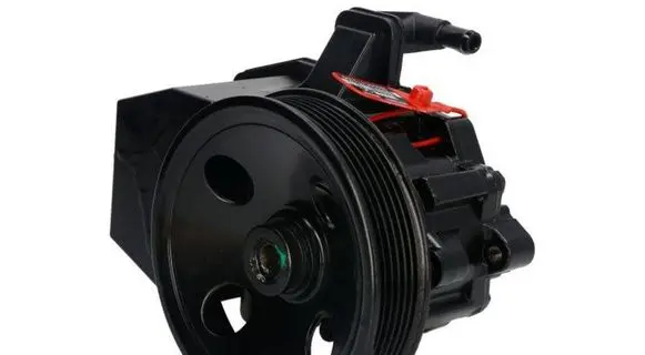 Mercedes-Benz C W202 Power steering pump 55.2901 4907-02-2901R B075SMGCTY