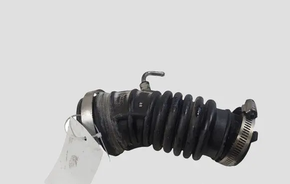 Nissan Juke I F15 Air intake hose/pipe
