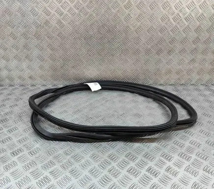 Audi Q5 SQ5 Rubber seal front coupe door 8R0831721F
