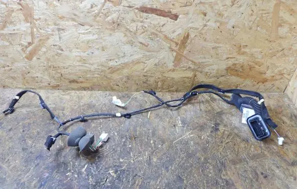 Dacia Lodgy Front door wiring loom/harness boot 241250233R