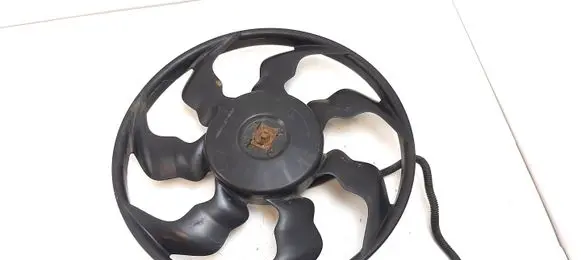 KIA Soul Electric radiator cooling fan F00S3A2479