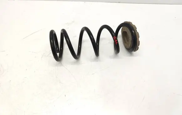 Nissan Murano Z52 Rear coil spring 