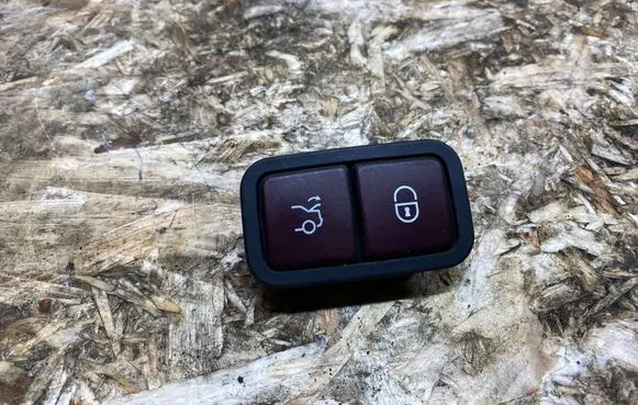 Mercedes-Benz S AMG W220 Tailgate/boot open switch button 2208211479