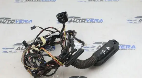 BMW X3 F25 Front door wiring loom 9243655