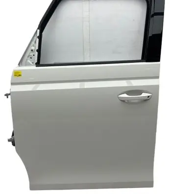Volkswagen ID. Buzz Front door 1T3831055D LB9A