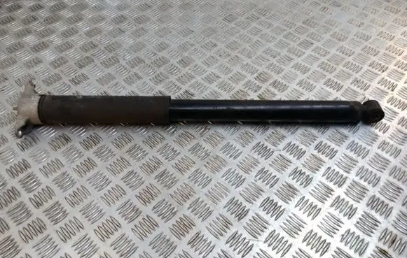Ford Focus Rear shock absorber/damper BV6118080