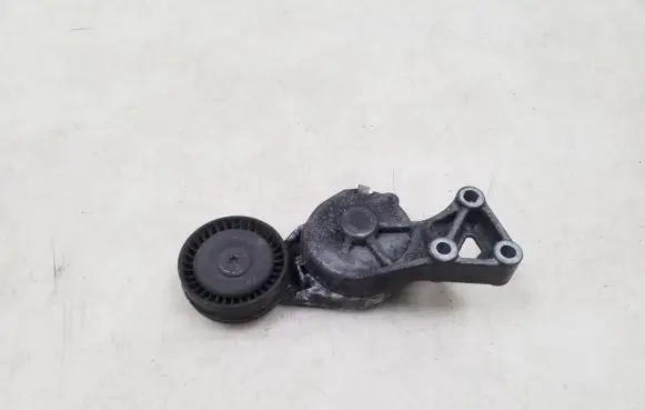 Volkswagen Sharan Timing belt/chain tensioner 038903315F