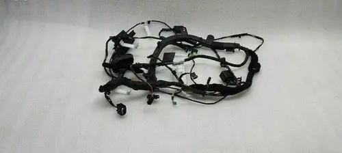 BMW 6 E63 E64 Rear door wiring loom 6973819