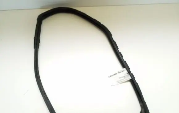 Nissan Juke I F15 Front door rubber seal 803311KA0A