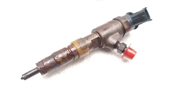 Peugeot Expert Fuel injector 0445110739