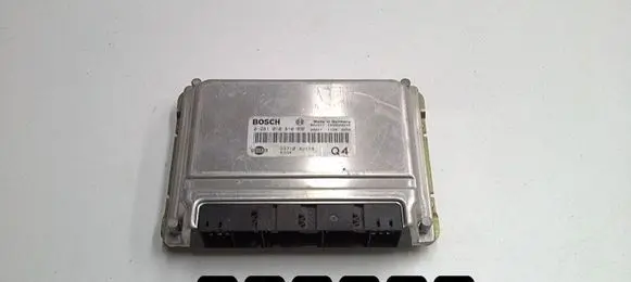 Nissan Almera Tino Engine control unit/module 0281010810
