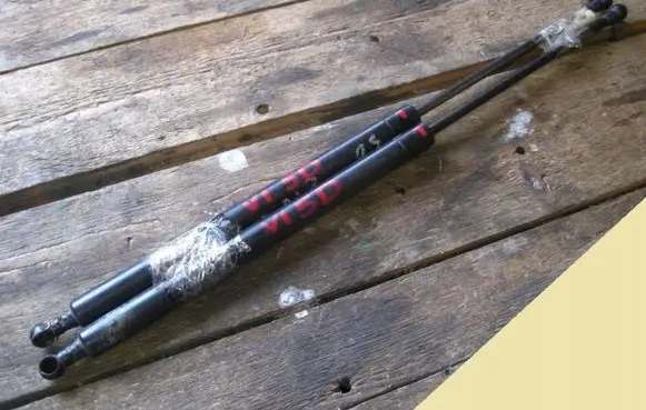 Tailgate strut