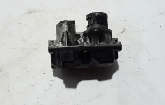 Renault Trafic III (X82) EGR valve 147101478R