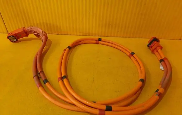 Tesla Model 3 Other wiring loom 110900300E