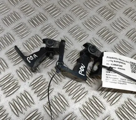 Fisker Ocean Front door hinges set FM2955100054B