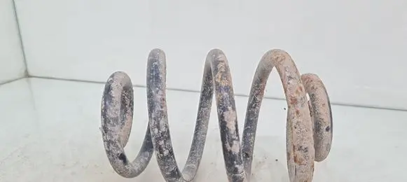 Rear coil spring