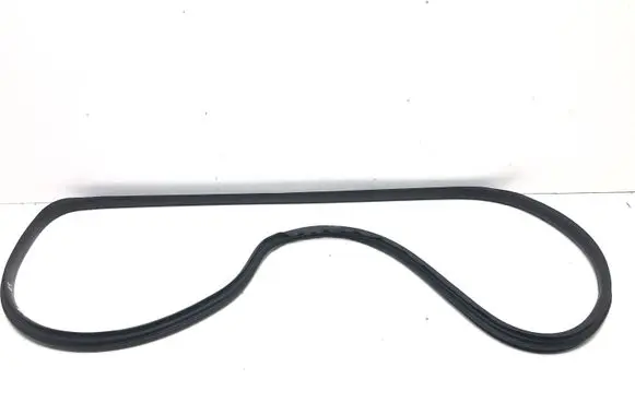 Volvo S40 Front door rubber seal