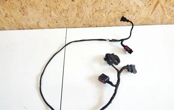 Other wiring loom