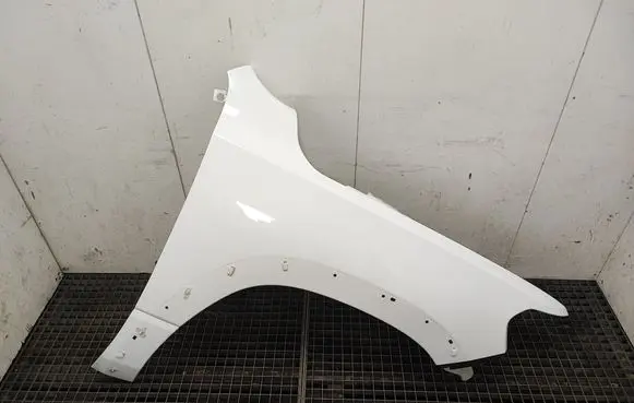 Dodge RAM 1500 DS Fender