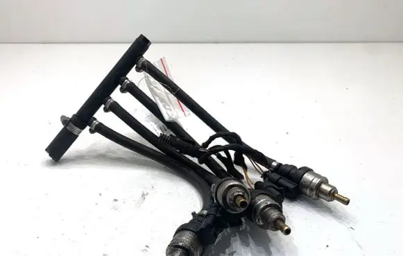 Volkswagen PASSAT B6 LP gas injector