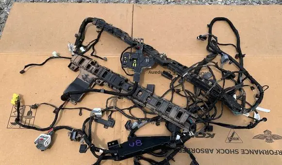 Chrysler Pacifica Wiring harness 0950AB