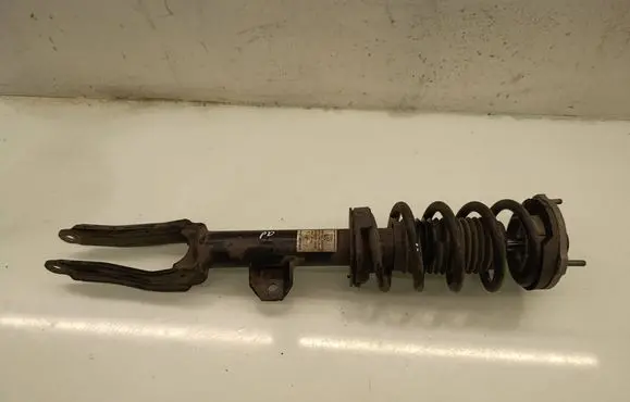 Alfa Romeo Stelvio Front shock absorber with coil spring 814904013686 50557510